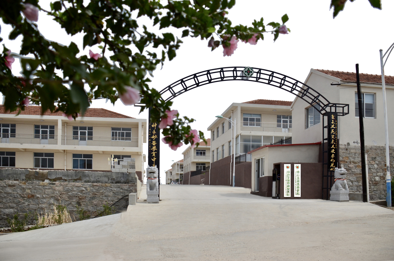 IMG_446336.png IMG_446336.png