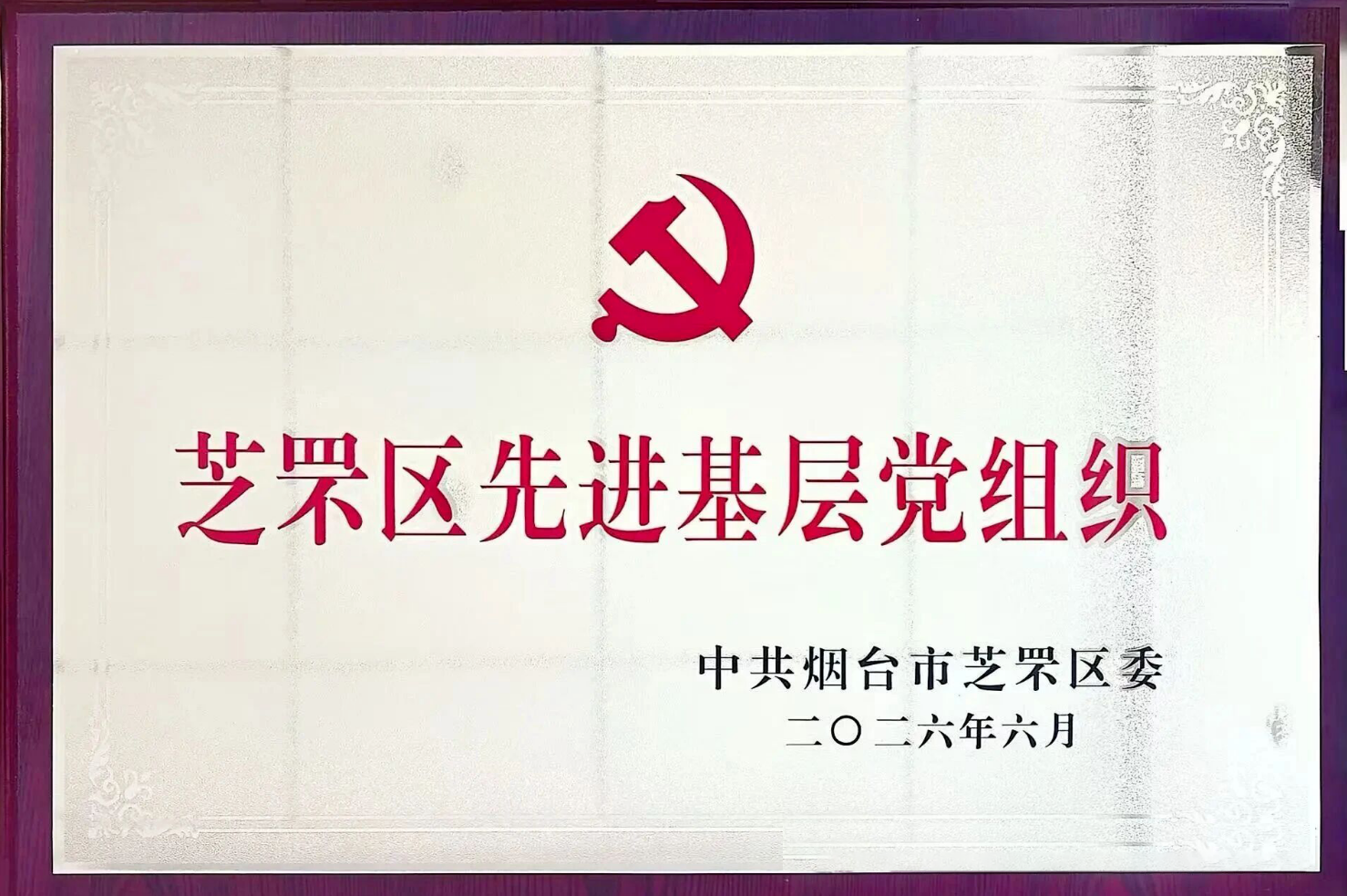 热烈祝贺山东杏罘医养集团党支部荣获“芝罘区先进基层党组织”!